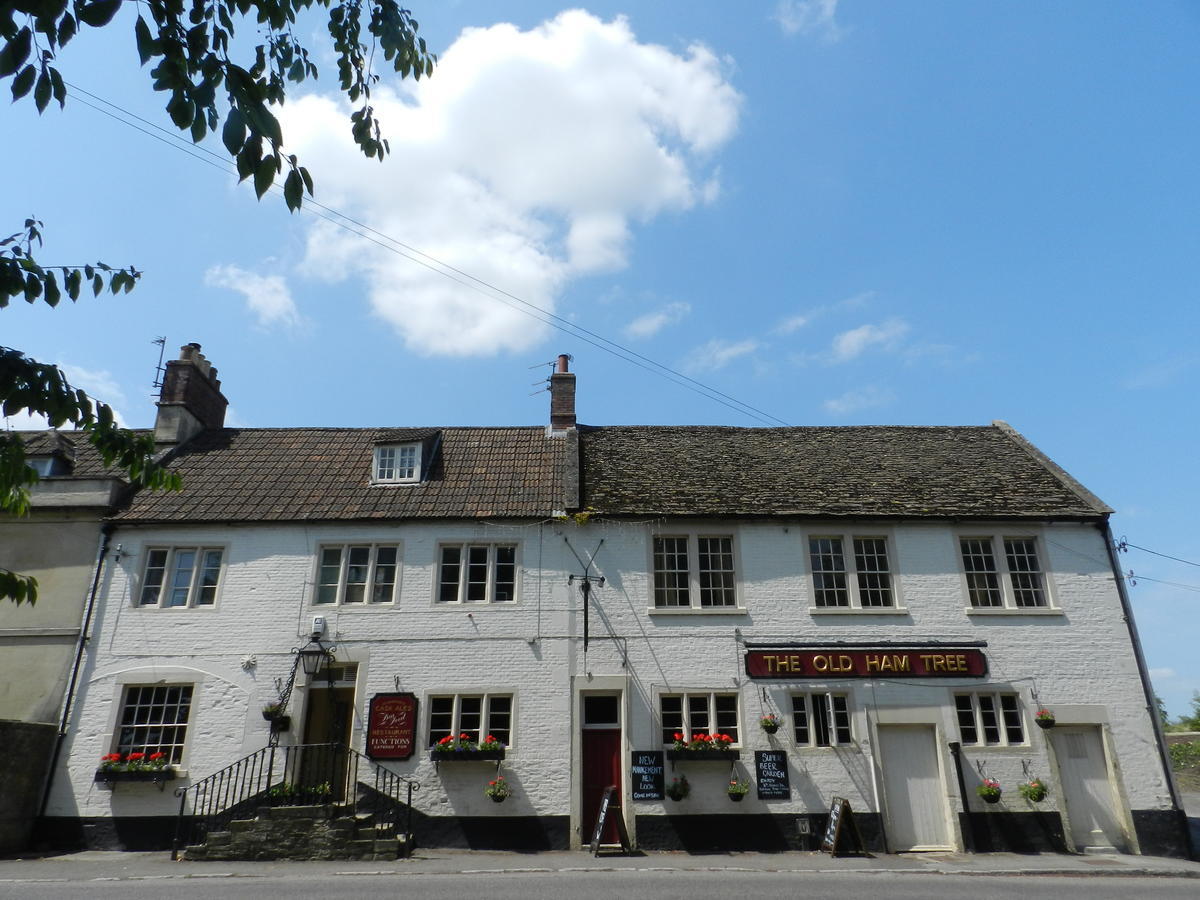 Hotel The Old Ham Tree à Holt  Extérieur photo